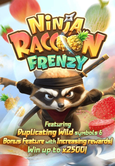 Ninja Raccoon Frenzy